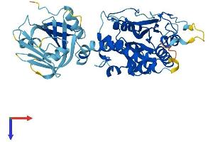 AlphaFold protein structure predicition of Mouse Recombinant Ifi44l Protein, UniprotID Q9BDB7