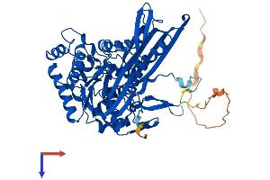 AlphaFold protein structure predicition of Mouse Recombinant Isyna1 Protein, UniprotID Q9JHU9