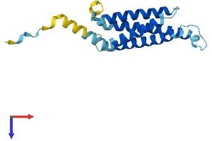 AlphaFold protein structure predicition of Mouse Recombinant Marveld1 Protein, UniprotID Q7TQJ1