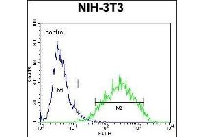 RAN Antibody (Center) (ABIN652226 and ABIN2840946) flow cytometric analysis of NIH-3T3 cells (right histogram) compared to a negative control cell (left histogram). (RAN anticorps  (AA 112-140))