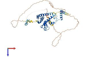 AlphaFold protein structure predicition of Human Recombinant RAD18 Protein, UniprotID Q9NS91