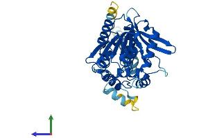 AlphaFold protein structure predicition of Human Recombinant ABHD6 Protein, UniprotID Q9BV23
