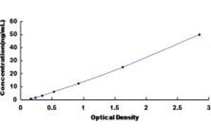 Phospholipase A2, Group III (PLA2G3) ELISA Kit