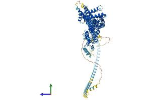 AlphaFold protein structure predicition of Human Recombinant RINT1 Protein, UniprotID Q6NUQ1