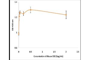 Activity Assay (AcA) image for Chemokine (C-X-C Motif) Ligand 2 (CXCL2) (Active) protein (ABIN5509437)