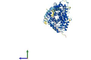 AlphaFold protein structure predicition of Mouse Recombinant Kel Protein, UniprotID Q9EQF2