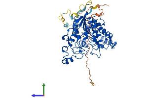 AlphaFold protein structure predicition of Human Recombinant HDAC1 Protein, UniprotID Q13547