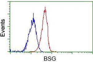 Image no. 4 for anti-Basigin (Ok Blood Group) (BSG) antibody (ABIN1498016) (CD147 anticorps)