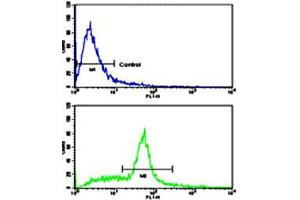 Flow cytometric analysis of WiDr cells using KITLG polyclonal antibody (bottom histogram) compared to a negative control cell (top histogram). (KIT Ligand anticorps  (C-Term))