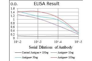 Black line: Control Antigen (100 ng), Purple line: Antigen(10 ng), Blue line: Antigen (50 ng), Red line: Antigen (100 ng), (FLIP anticorps  (AA 100-251))