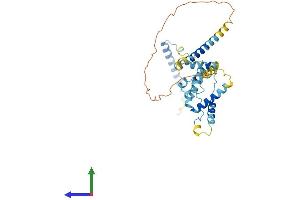 AlphaFold protein structure predicition of Human Recombinant SNRNP48 Protein, UniprotID Q6IEG0