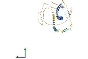 AlphaFold protein structure predicition of Mouse Recombinant Cavin1 Protein, UniprotID O54724