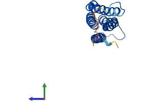 AlphaFold protein structure predicition of Mouse Recombinant Mgst3 Protein, UniprotID Q9CPU4