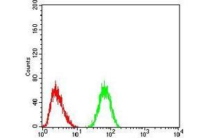 Flow cytometric analysis of HeLa cells using CK5 mouse mAb (green) and negative control (red).