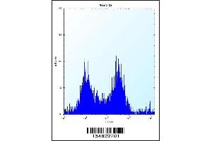 Flow cytometric analysis of Neuro-2a cells (right histogram) compared to a negative control cell (left histogram).