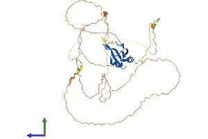 AlphaFold protein structure predicition of Mouse Recombinant Rbfox2 Protein, UniprotID Q8BP71