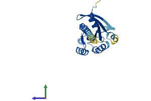 AlphaFold protein structure predicition of Human Recombinant RAB35 Protein, UniprotID Q15286