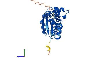 AlphaFold protein structure predicition of Mouse Recombinant Nme5 Protein, UniprotID Q99MH5