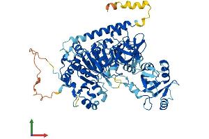AlphaFold protein structure predicition of Mouse Recombinant Slc27a3 Protein, UniprotID O88561