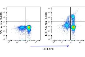 Flow Cytometry (FACS) image for anti-beta-1,3-Glucuronyltransferase 1 (Glucuronosyltransferase P) (B3GAT1) antibody (ABIN3071841) (CD57 anticorps)