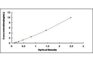 Typical standard curve (VNN3 Kit ELISA)