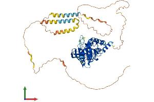 AlphaFold protein structure predicition of Human Recombinant PTPN5 Protein, UniprotID P54829
