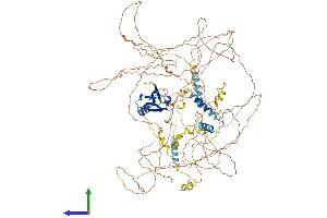 AlphaFold protein structure predicition of Human Recombinant SYNPO2 Protein, UniprotID Q9UMS6