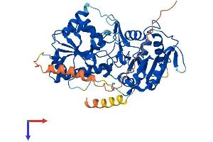 AlphaFold protein structure predicition of Human Recombinant B3GLCT Protein, UniprotID Q6Y288