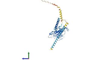 AlphaFold protein structure predicition of Human Recombinant GLIPR1L2 Protein, UniprotID Q4G1C9