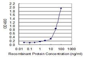 Sandwich ELISA detection sensitivity ranging from 1 ng/mL to 100 ng/mL. (HMGB1 (Humain) Matched Antibody Pair)