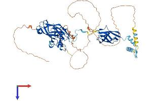 AlphaFold protein structure predicition of Mouse Recombinant Ebf1 Protein, UniprotID Q07802