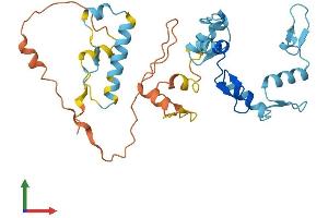 AlphaFold protein structure predicition of Human Recombinant ZNF705A Protein, UniprotID Q6ZN79