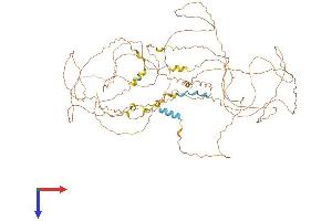 AlphaFold protein structure predicition of Human Recombinant MAMLD1 Protein, UniprotID Q13495