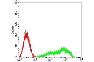 Flow cytometric analysis of HL-60 cells using CD327 mouse mAb (green) and negative control (red).