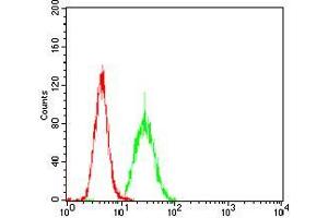 Flow cytometric analysis of Hela cells using PKHD1 Rat mAb (green) and negative control (red).