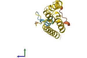 AlphaFold protein structure predicition of Mouse Recombinant Tor1aip2 Protein, UniprotID Q9ER81