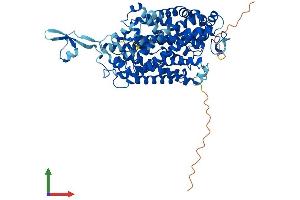 AlphaFold protein structure predicition of Mouse Recombinant Slc6a14 Protein, UniprotID Q9JMA9