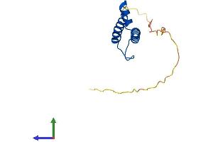 AlphaFold protein structure predicition of Mouse Recombinant Nhlh2 Protein, UniprotID Q64221