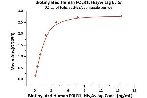 Immobilized Biotinylated Human FOLR1, His,Avitag (ABIN5954995,ABIN6253622) at 1 μg/mL (100 μL/well) on streptavidin precoated (0.