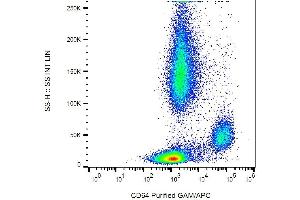 Surface staining of CD64 in human peripheral blood with anti-CD64 purified, GAM-APC.