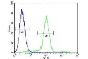WT1 antibody flow cytometric analysis of MCF-7 cells (right histogram) compared to a negative control (left histogram).