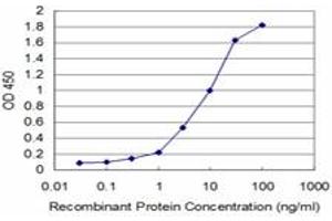 Detection limit for recombinant GST tagged HCLS1 is approximately 0. (HCLS1 anticorps  (AA 266-355))