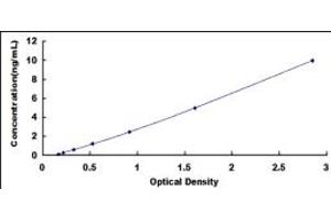 Typical standard curve (ARPC4 Kit ELISA)