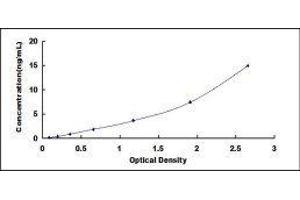 Typical standard curve (GSTP1 Kit ELISA)