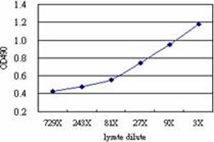 E4F1 (Human) Matched Antibody Pair