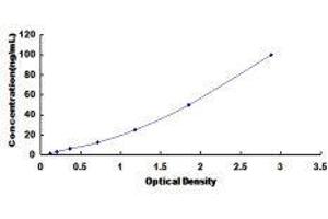 Chymotrypsinogen B2 (CTRB2) ELISA Kit