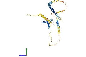 AlphaFold protein structure predicition of Human Recombinant TFAP4 Protein, UniprotID Q01664