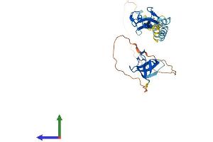 AlphaFold protein structure predicition of Mouse Recombinant Lasp1 Protein, UniprotID Q61792