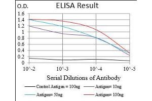 Black line: Control Antigen (100 ng), Purple line: Antigen(10 ng), Blue line: Antigen (50 ng), Red line: Antigen (100 ng), (KHDRBS2 anticorps  (AA 160-349))