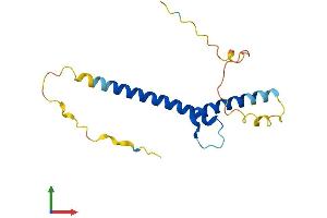 AlphaFold protein structure predicition of Human Recombinant ATOH7 Protein, UniprotID Q8N100